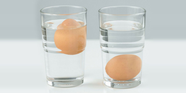 تشخیص تخم مرغ تازه از تخم مرغ فاسد